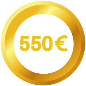 Iconita 550 euro